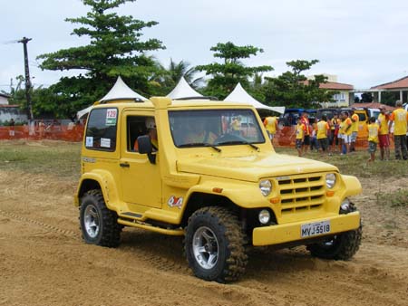 indor (288)