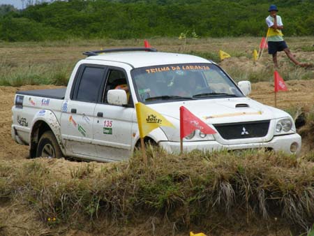 indor (310)