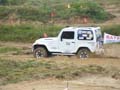 indor (229)