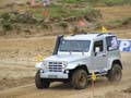 indor (252)