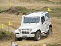 indor (260)
