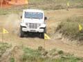 indor (262)