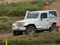 indor (269)