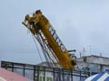 indor (303)