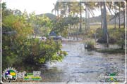 Trilha-(976)