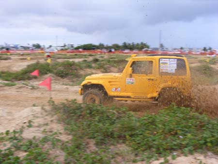 indor x (195)