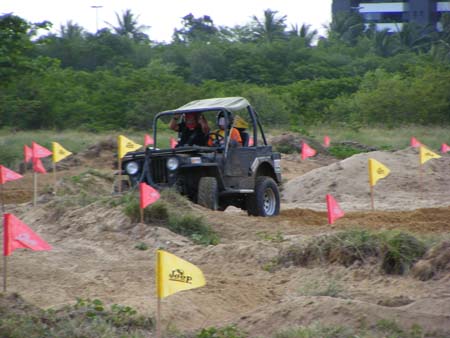 indor x (33)