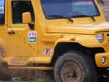 indor x (185)