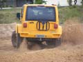indor x (190)