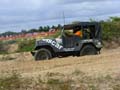 indor x (25)