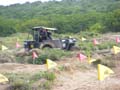 indor x (56)