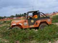 indor x (97)
